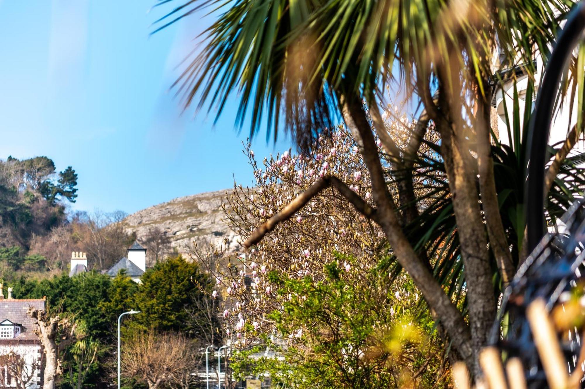 Mulberry House Hotel Llandudno Eksteriør billede